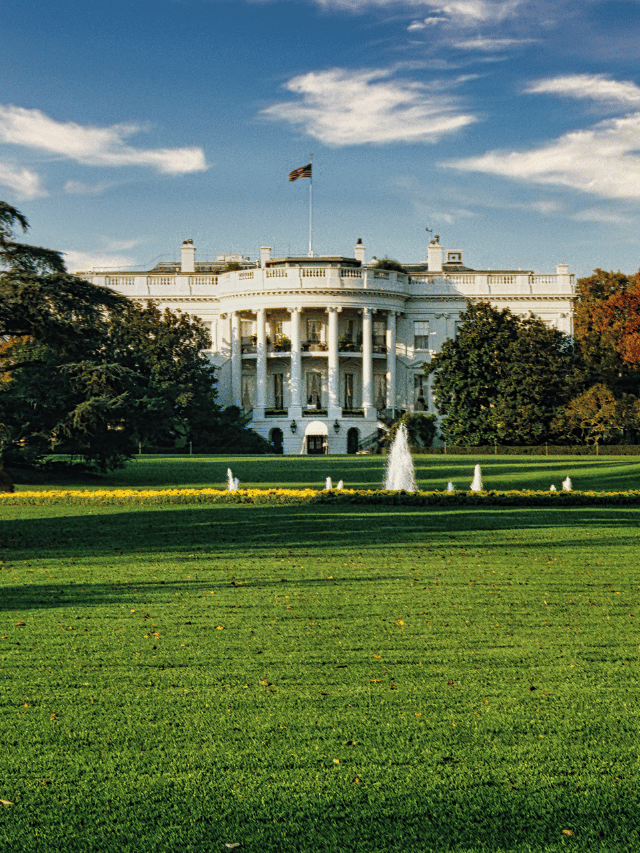 Por que o Google Vendeu sua IA por US$1 ao Governo dos EUA?